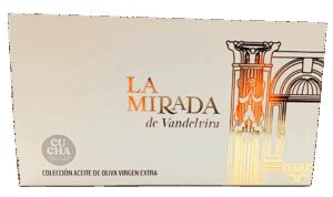 La mirada de Vandelvira