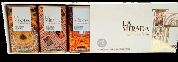 La mirada de Vandelvira